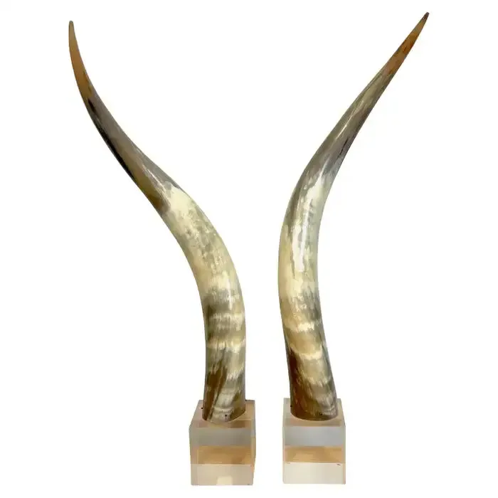 Ox Horn Pairs
