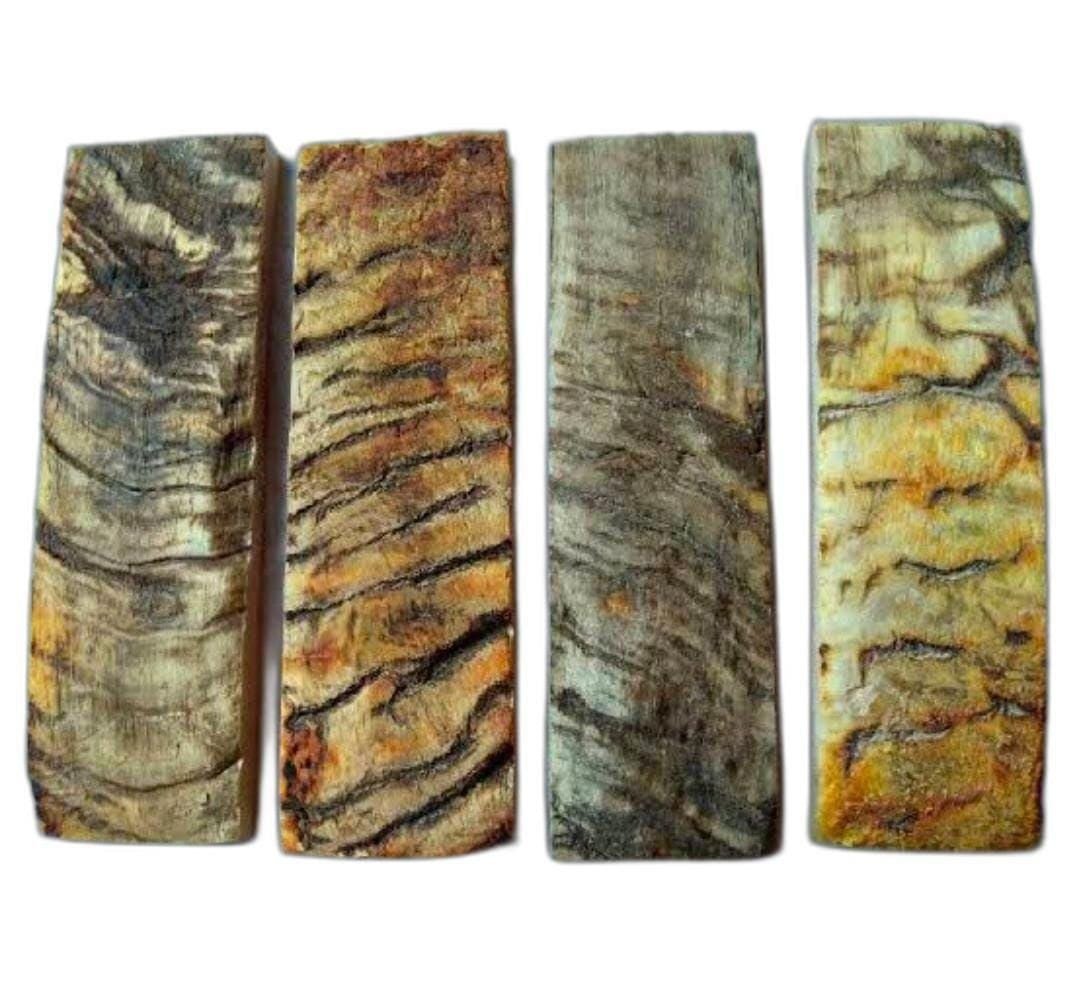 Ram Horn Scales